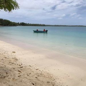 Meet your Posher, Judy